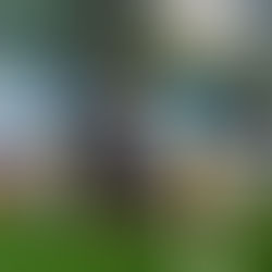 Freestyle Football pour l'Arbre de Noel de la BNP