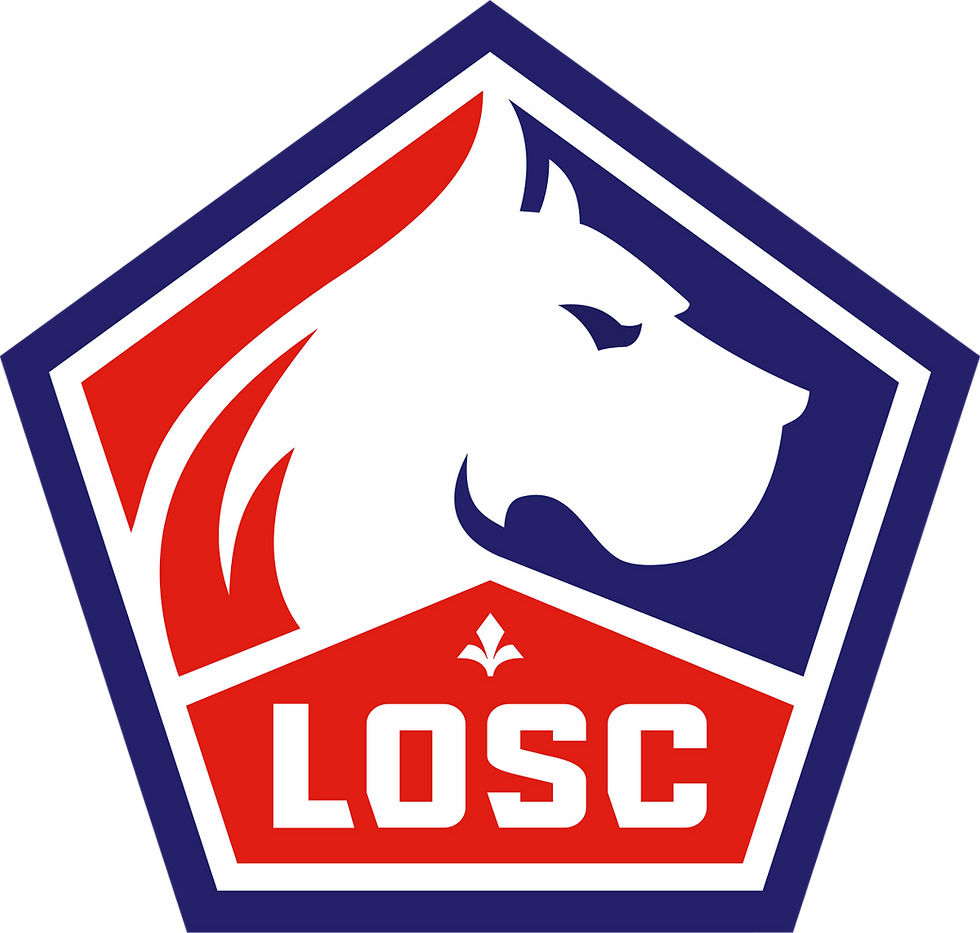 Animation Freestyle Football pour des matchs du LOSC Lille