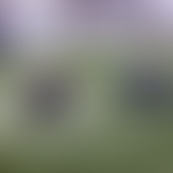 Inauguration Freestyle Football à Paris