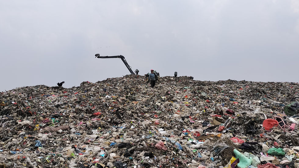 政府の援助によって導入されたクレーンです。効率的に資源を集められるそうです。