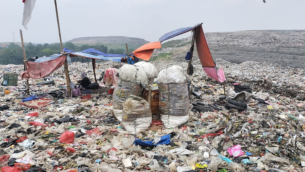 これも写真では伝わらないと思いますが、日差しが大変に強く、酷暑でした。