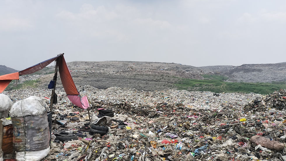 写真では伝わらないと思いますが、本当に広いです。