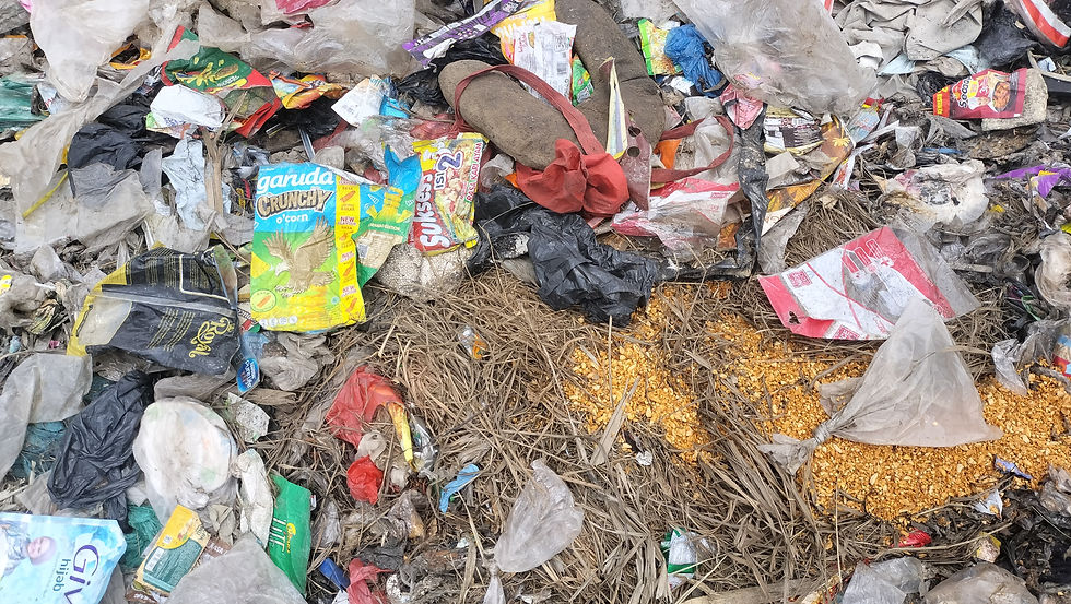 ビニールゴミが原因で雨水が流れず腐敗し、悪臭や虫が湧く原因となっています。日光の照り返しも生じます。