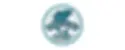 4.webp