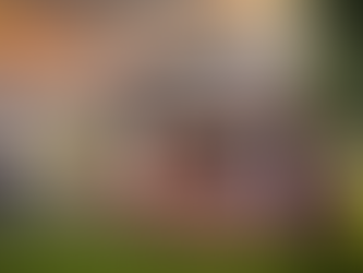 Houses sold during Victoria Lockdown 6.0