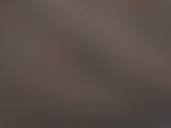 November 6th, 2023 Market Report