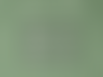 July 8th, 2024 Market Report