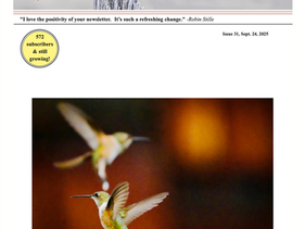 UpDraft Issue 31