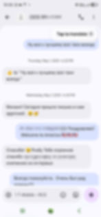 Screenshot_20260708_222444_Messages
