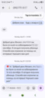 Screenshot_20260708_222316_Messages