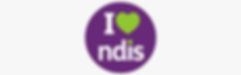 ndis-header-1.jpeg
