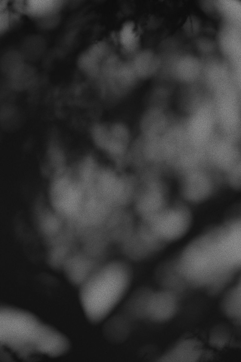 unsplash-njhPkg0Oe5M_edited.jpg