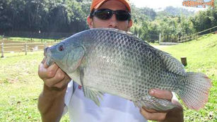 Pesqueiro Kero Peixe – Uma boa opção de pesca a 40km da capital paulista