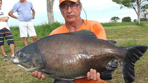 Fazenda Pacu - Fim de semana difícil em Minas Gerais