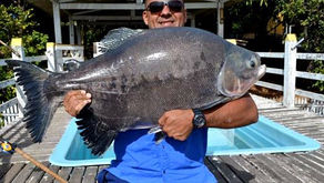 Fazenda Paraná – Os grandes peixes no inverno mineiro