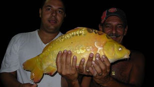 Pesqueiro Maeda - 4. Torneio Fishingtur e amigos no Pesqueiro Maeda Park