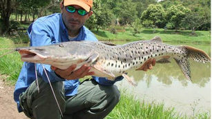 Pesqueiro Morro Grande - Um local acolhedor em Piracicaba