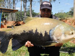 Kiki Turismo - O Fishingtur em busca dos grandes peixes mineiros