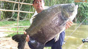 Pesqueiro Morada do Sol – Um bonito pesqueiro em São João da Boa Vista