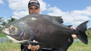 Pousada 4 Estações - mais de 1.300kg de tambas em 3 dias de pesca