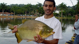 Pesqueiro Lagoa dos Patos - Muitos peixes em nossa pescaria