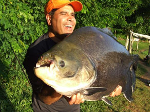 Pesqueiro Fantasma - Achamos ele de novo e com grandes peixes!!!