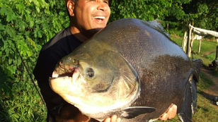 Pesqueiro Fantasma - Achamos ele de novo e com grandes peixes!!!
