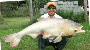 Pesqueiro Morada do Gigante - A casa dos peixes em Mairiporã