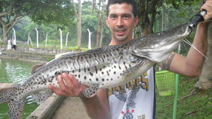 Pesqueiro Cantareira – Um bom local de pesca dentro da capital
