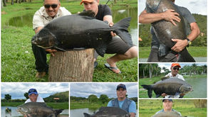 Pousada 4 Estações - Fishingtur em MG novamente