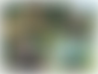 Pesqueiro Vale Verde - Um pequeno pesqueiro mas com muita diversão