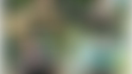 Pesqueiro Vale Verde - Um pequeno pesqueiro mas com muita diversão