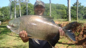 Fazenda KiKi - Nossos amigos cariocas em MG