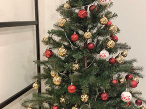 いよいよプレオープン！