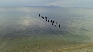 210509001.jpeg