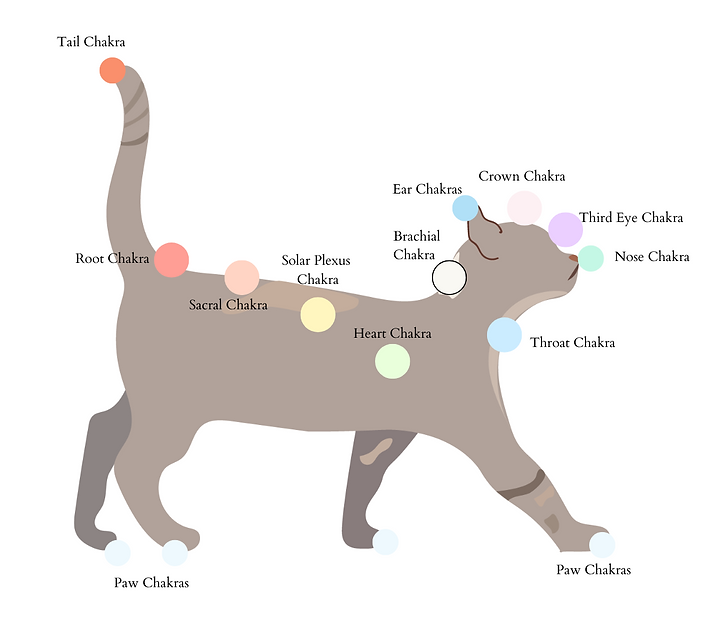 just cat.png