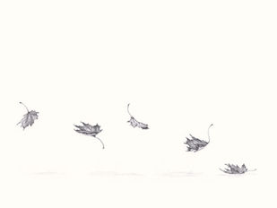 5 vallende blaadjes op rij, grijspotloodtekening Greet Cannaerts