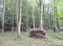 energiepaintball-50.jpg