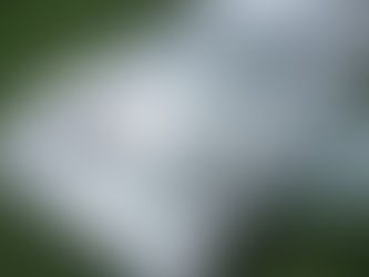 wrapping asbestos sheets