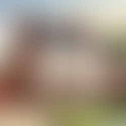 Asbestos in 1980s property UK