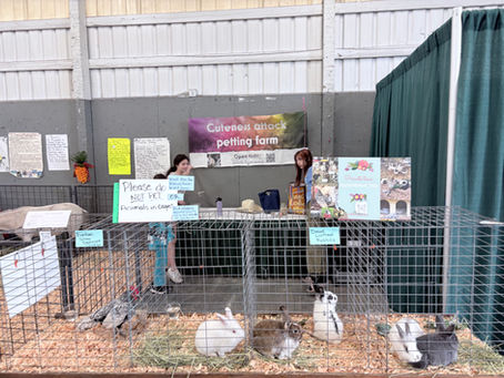 Puyallup state fair