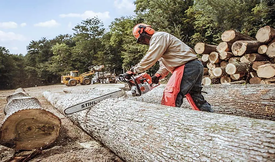 tree_felling_4K_upscaled.png