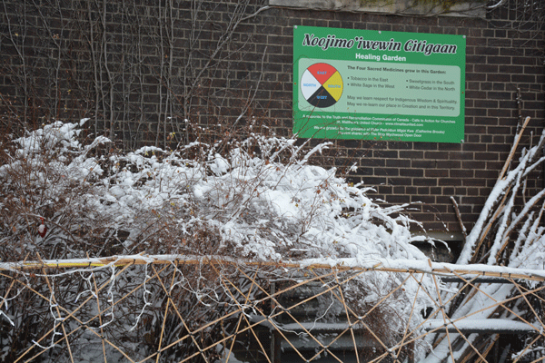 Toronto_spirea.gif
