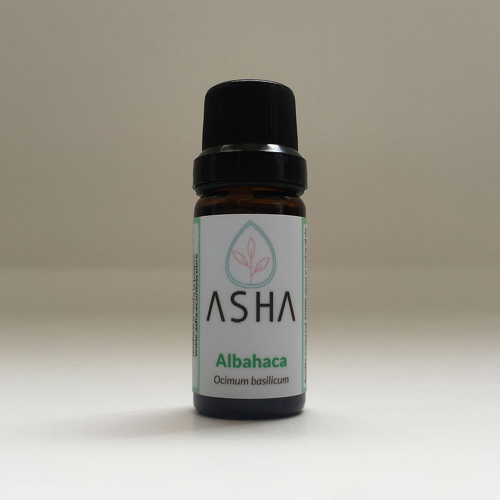 Miniatura: Albahaca Linalool