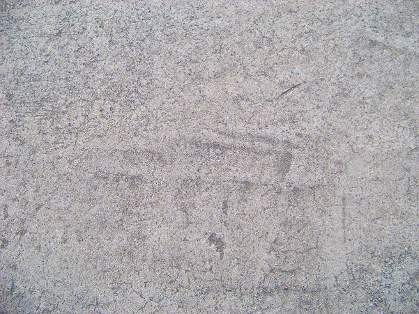copperscaledragon-cement-340454_1920.jpg