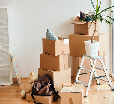 carboard-boxes-potted-plant-new-apartmen