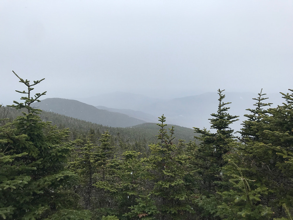 On the way to Mount Field