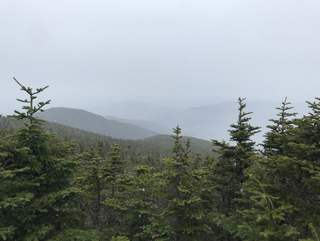 Mount Tom, Avalon, and Field Loop
