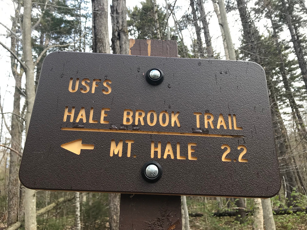 Mt. Hale Via Hale Brook Trail