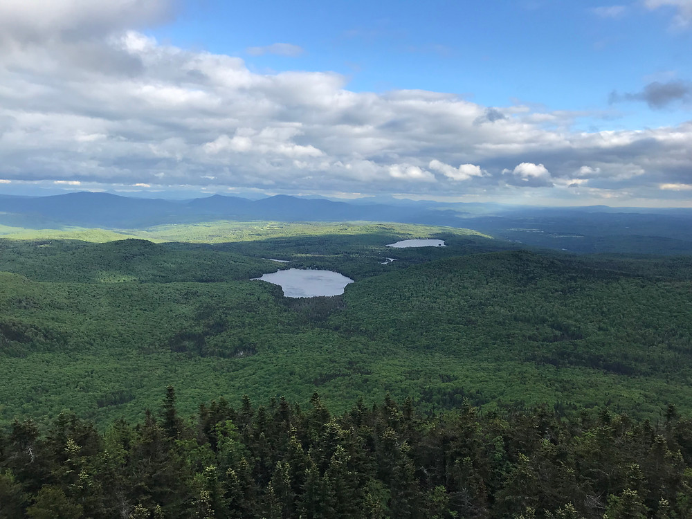 View from Bald Mountain Fire Tower